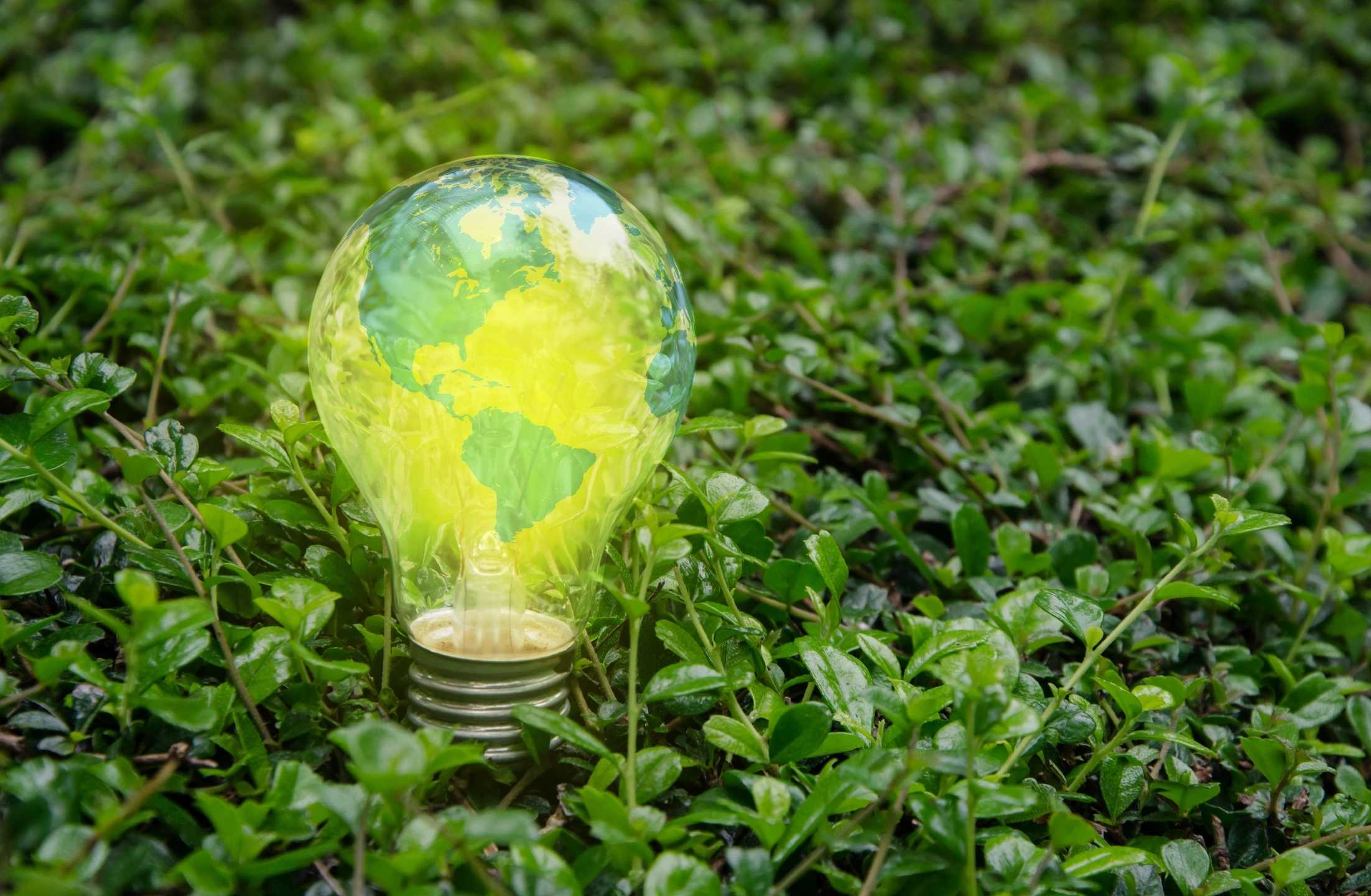 Light bulb with globe inside green foliage.